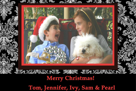 christmas card 2008