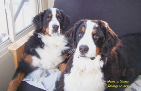 Our Berners