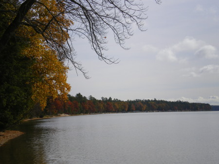 Higgens Lake Shoreline w/fall colors