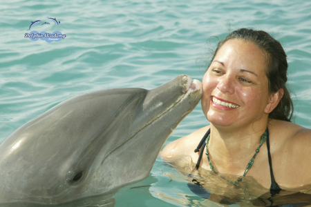 Kissing dolphin of Curacao, Caribbean