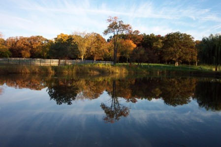 Fall at the Orchard