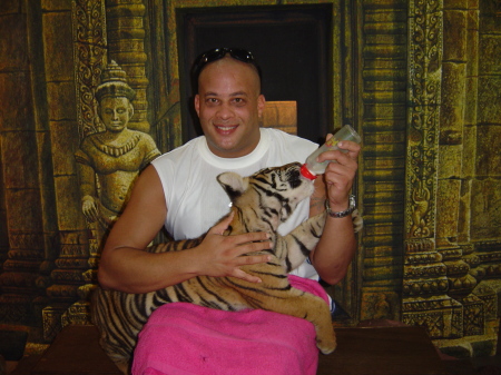At the tiger zoo in Pattaya Beach, Thailand