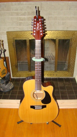 Takamine 12 string AC/EL G Series