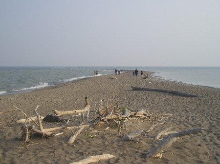 Point Pelee National Park 2005, The Tip (from the Tip Exibit Area)