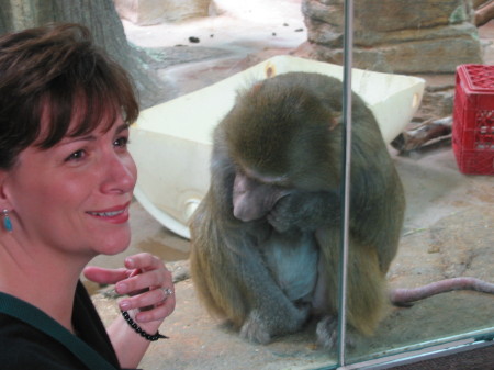 Kelly and the Baboon (St. Louis Zoo, 2005)