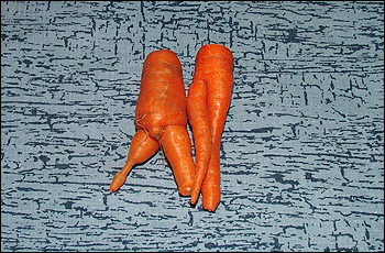 naughty carrots!