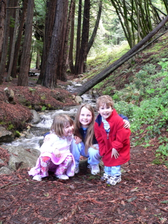 Big Sur spring 2006