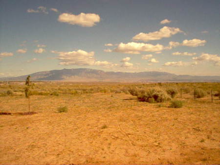 albuquerque new mexico from my backyard