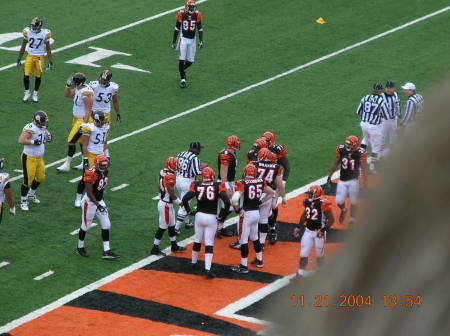 Bengals