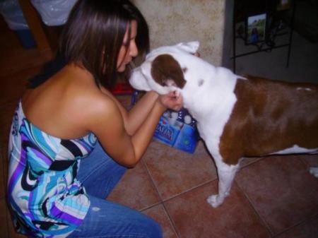 JAHMOON my first pitbull :) xoxoxo