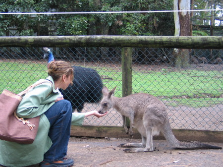 AUSTRALIA-2004