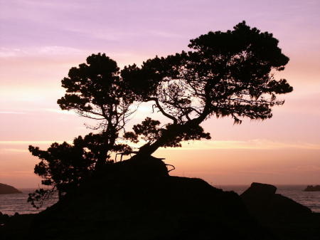 Sunset in Crescent City