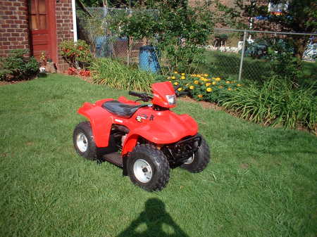 Baby 4 wheeler ...