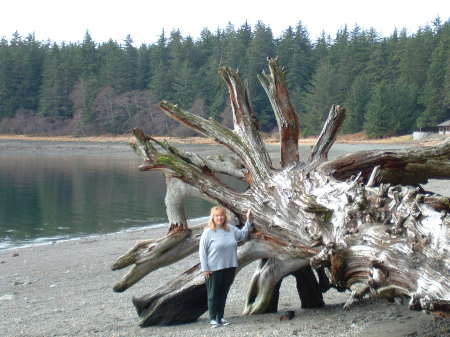 Eagle Beach in Juneau