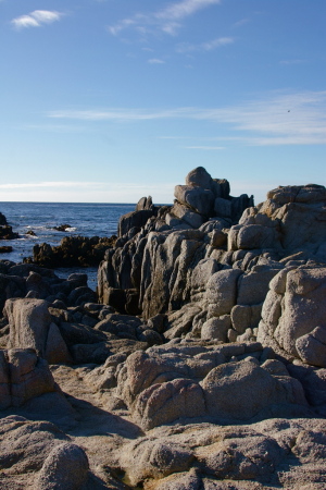 Great Tidepool (Monterey)