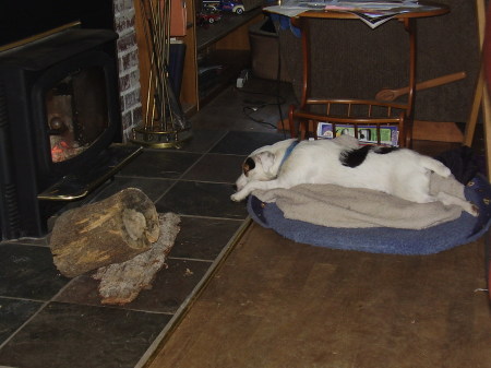 Lounging in front of fire