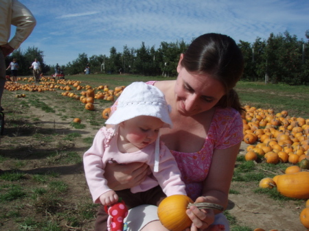 Picking out the perfect pumpkin