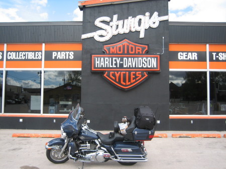 Sturgis Harley