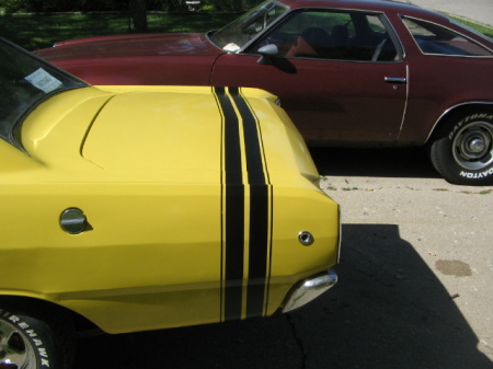 bumble bee stripe