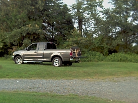 my truck and my dog