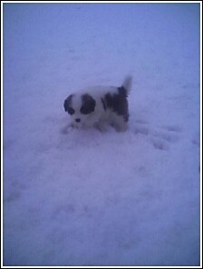 my little girls first day in the snow 2/6/06