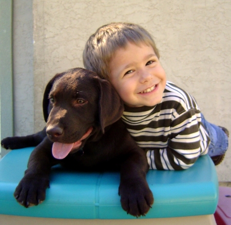 My Son Riley Michael with Duncan (Choc Lab)