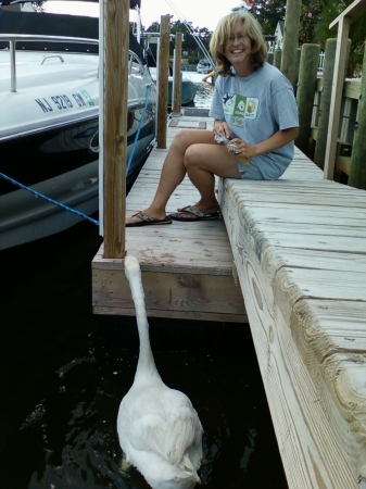 Me and my pet Swan