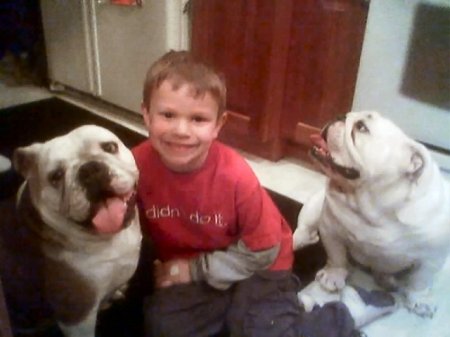 My Boy...Kevin, with our Bullies Ginger and Pete