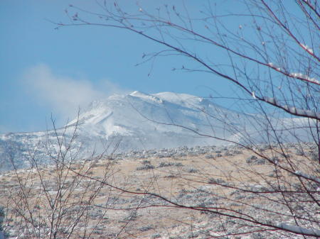 View of Mt. Rose form our back yard.