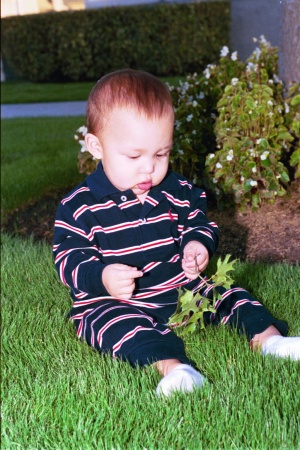 My grandson,  Austin at 14 months old