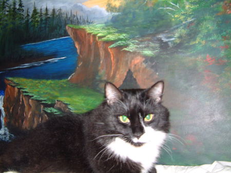 my cat....my painting