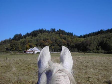 looking back at the farm