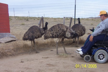 New Cheyenne Mountain Zoo additions