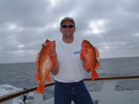 Rock Cod Fishing