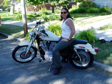 My Precious 2001 883 Harley Davidson