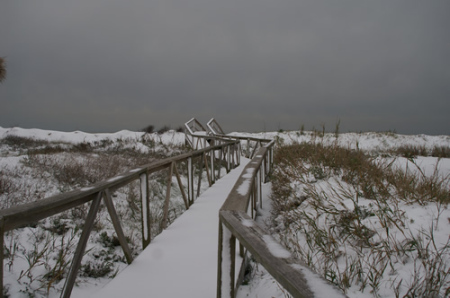 Galveston snow 2004