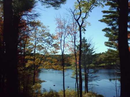 at the lake