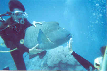 Great Barrier Reef