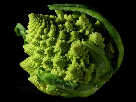 fractal broccoli.