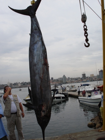 sport fishing in Africa