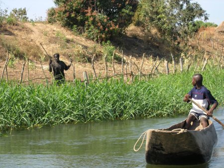 Fishing on the Zambezi River