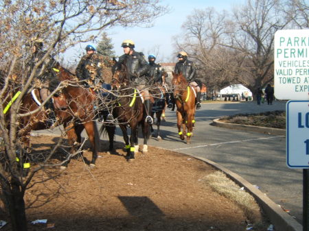 police on horses i