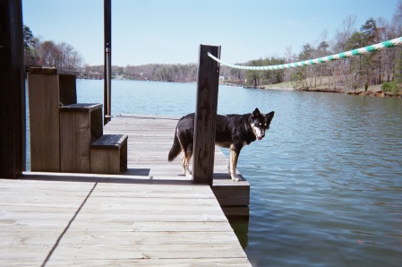 Judy's Friend at the Lake