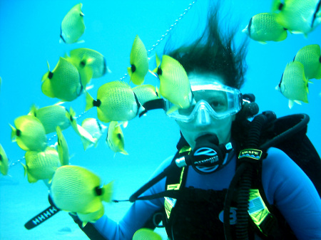 Diving in Hawaii