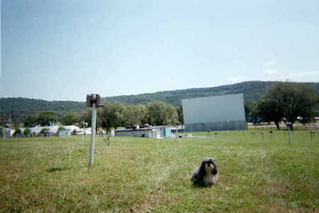 sweetie at drive inn pa.