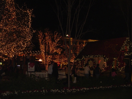 tree lighting 2008 017