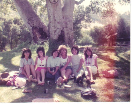 Senior picnic 1984