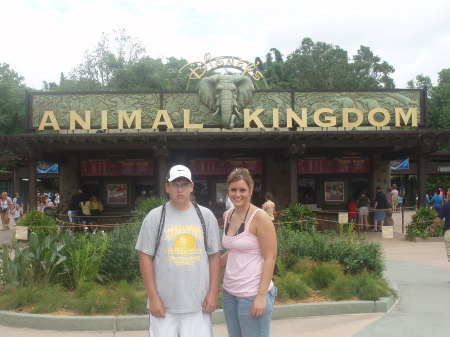 My monkeys at animal kingdom. :-)