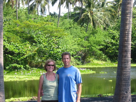 The Big Island Punaluu Beach