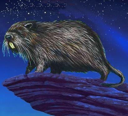 The Nutria King